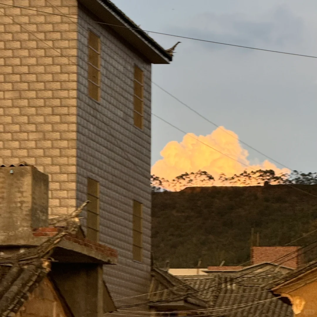 想买电子阅读器，求劝退（已买）