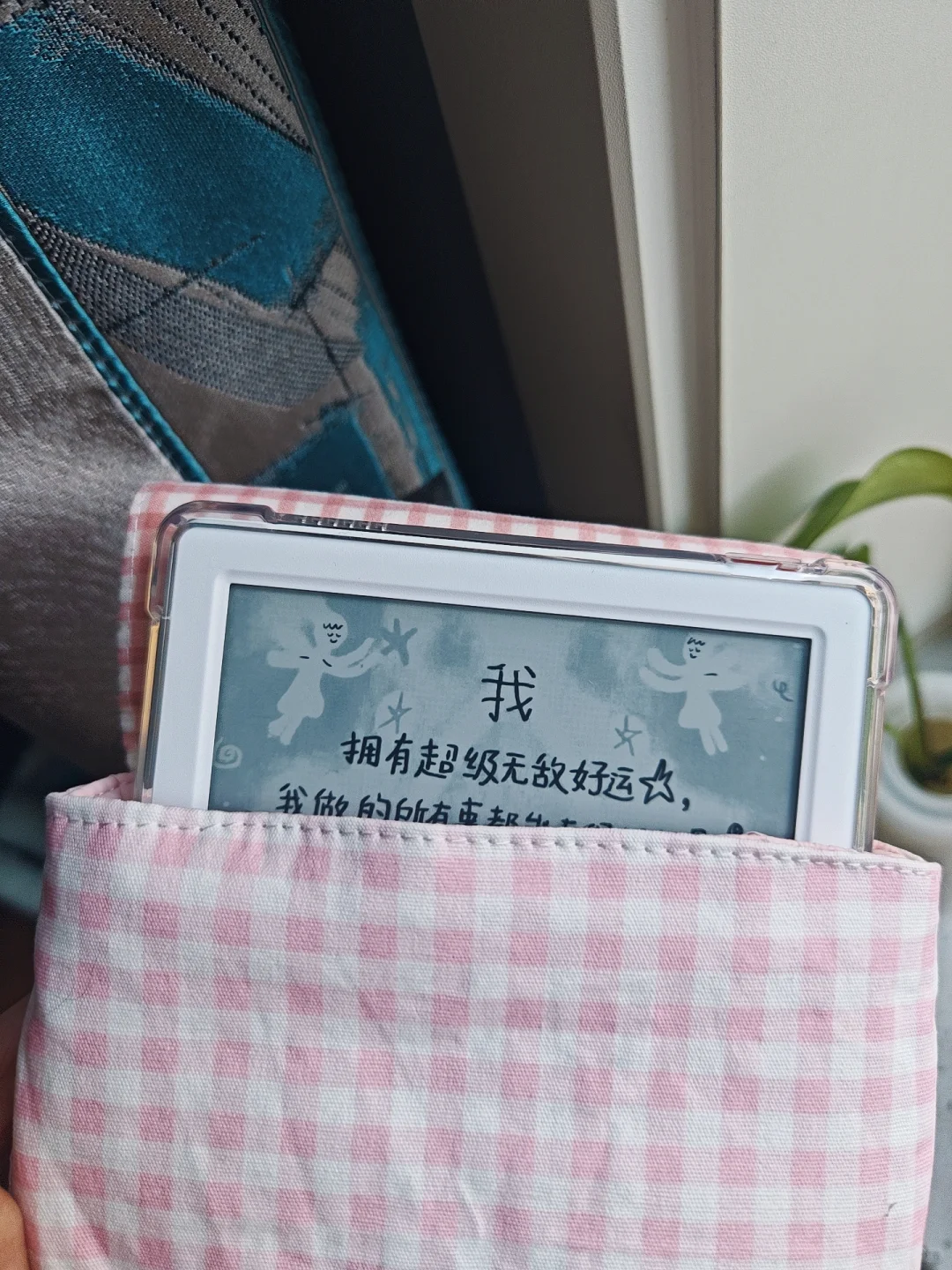 定制的阅读器包包到了