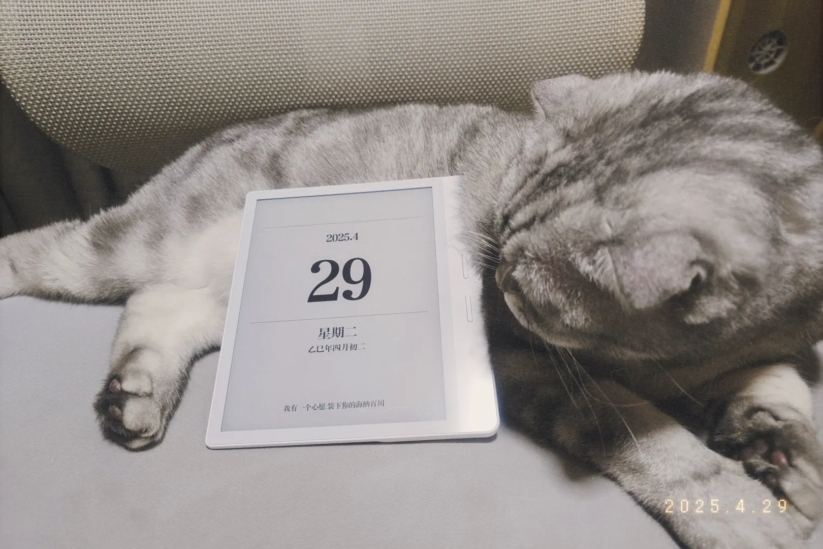 我爱我的新玩具！