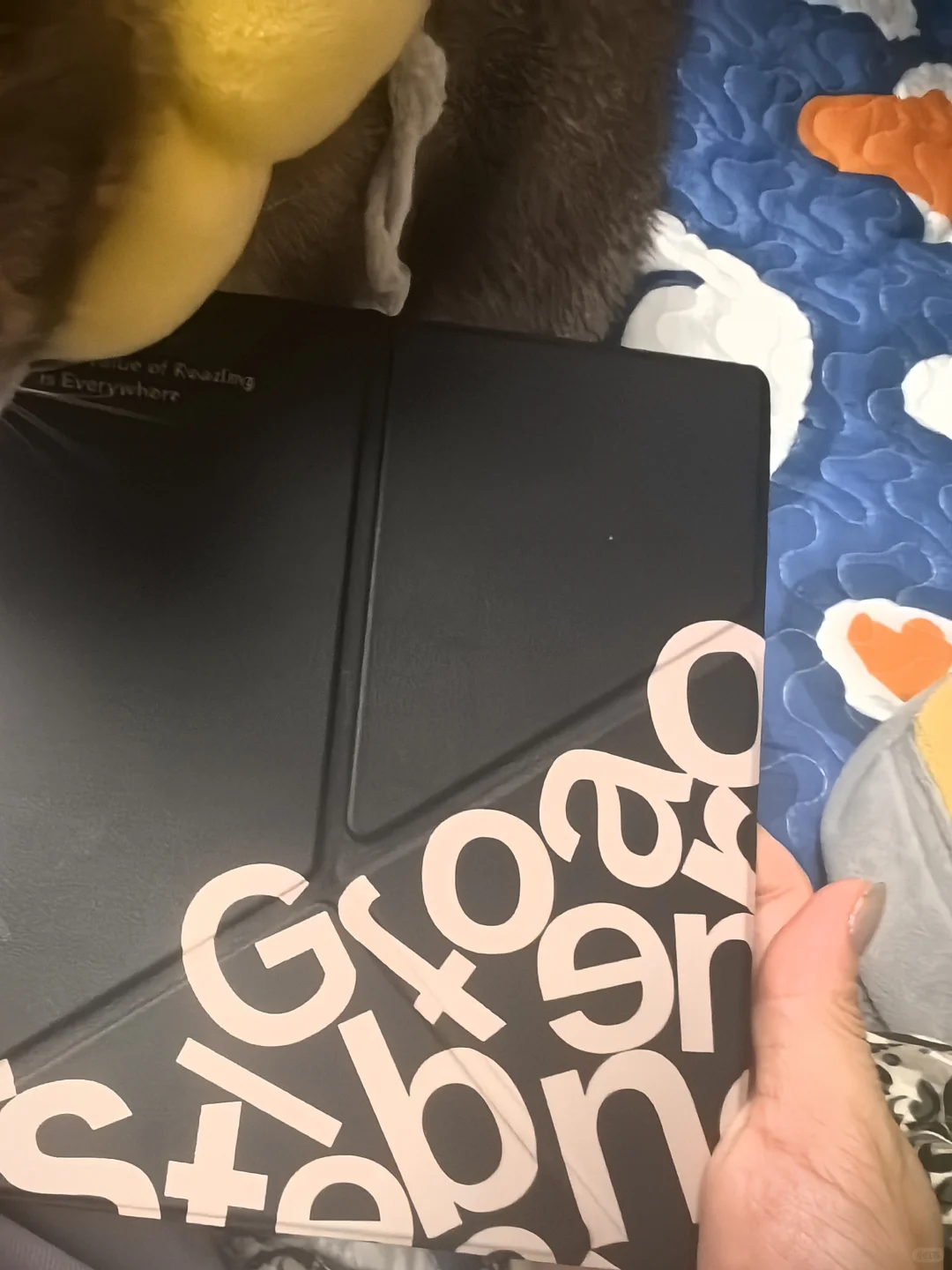 我手上使用频率最高的电纸书