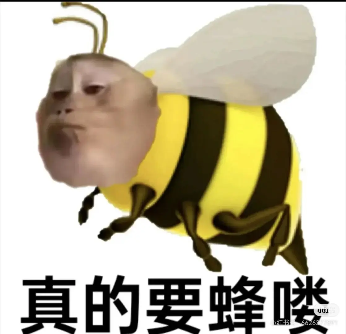 掌阅要出手机大小的了