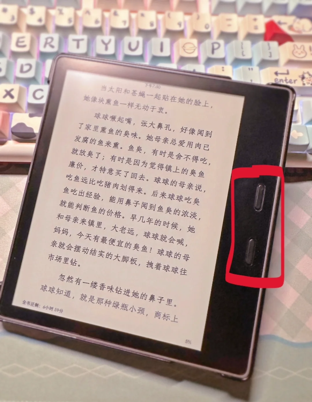 kindle之后还有好用的电纸书吗？