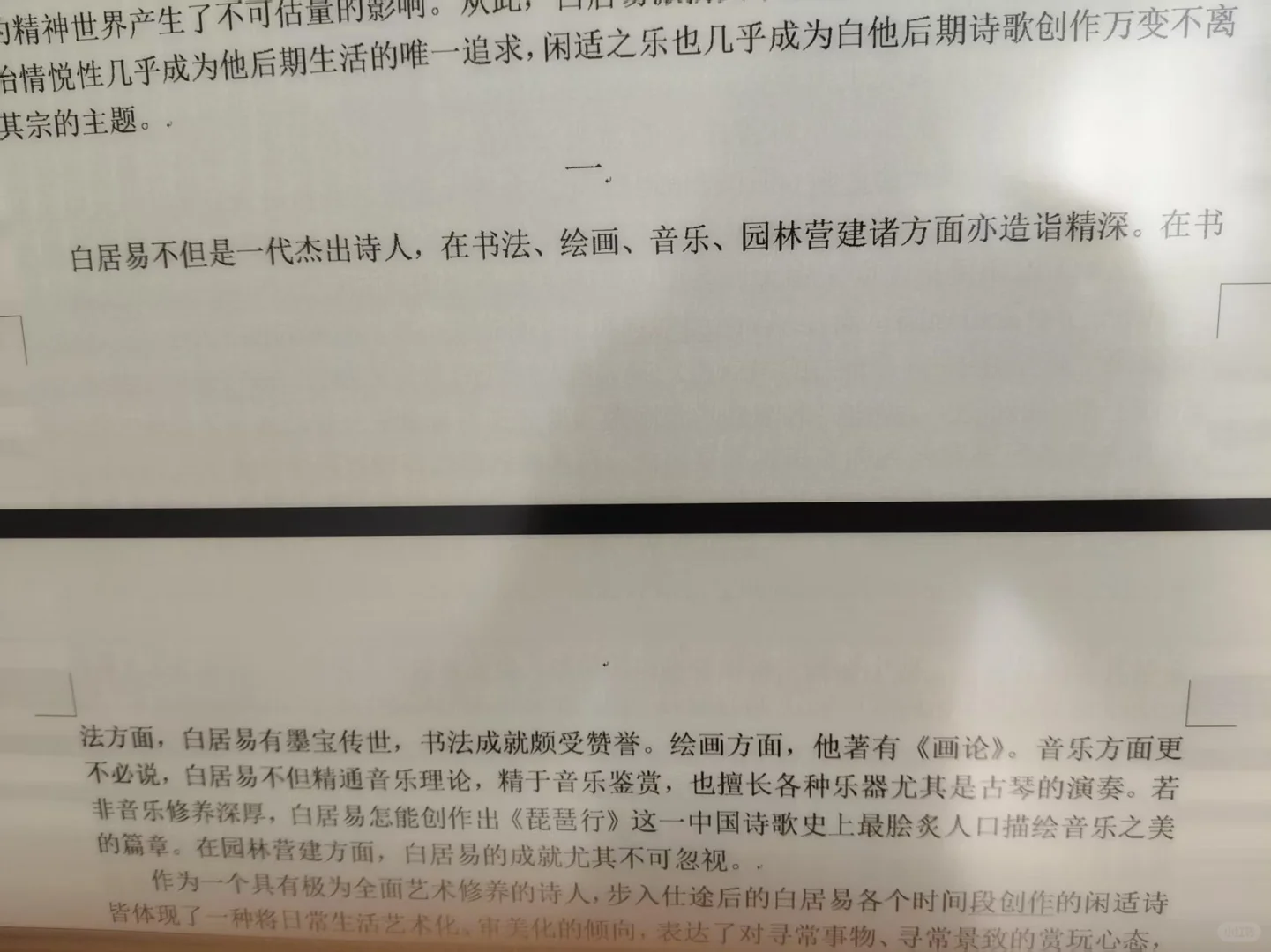 DASUNG大上科技Paperlike 253 革命者电纸书