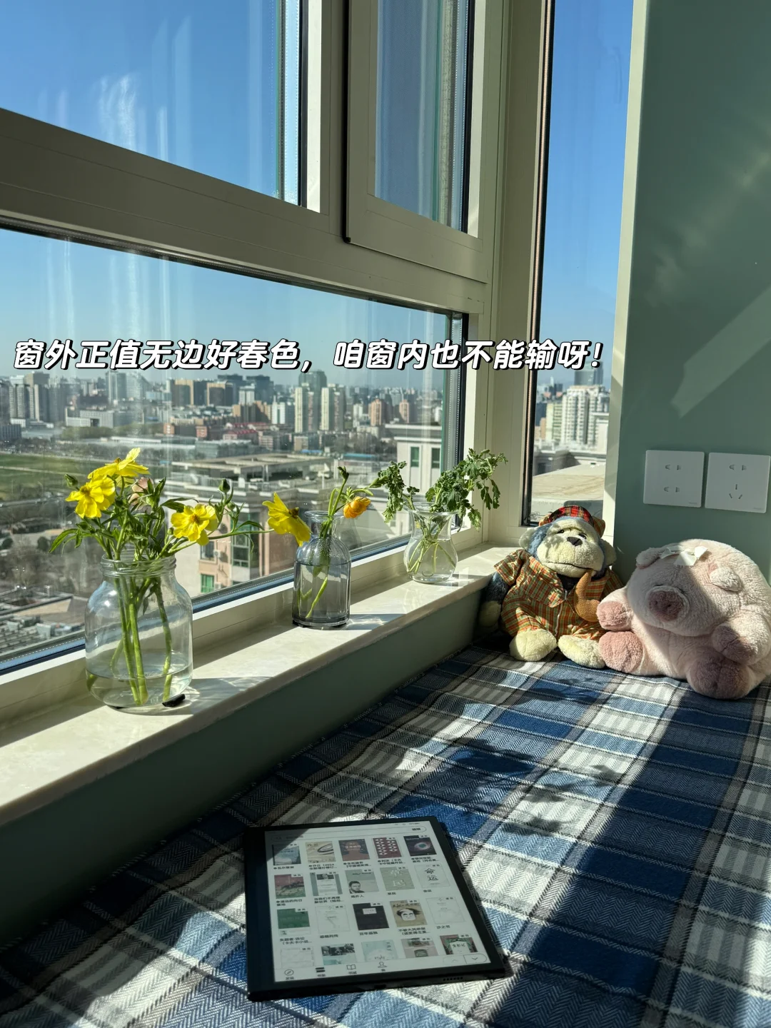 书香气+松弛感的家最养人了📚🏡