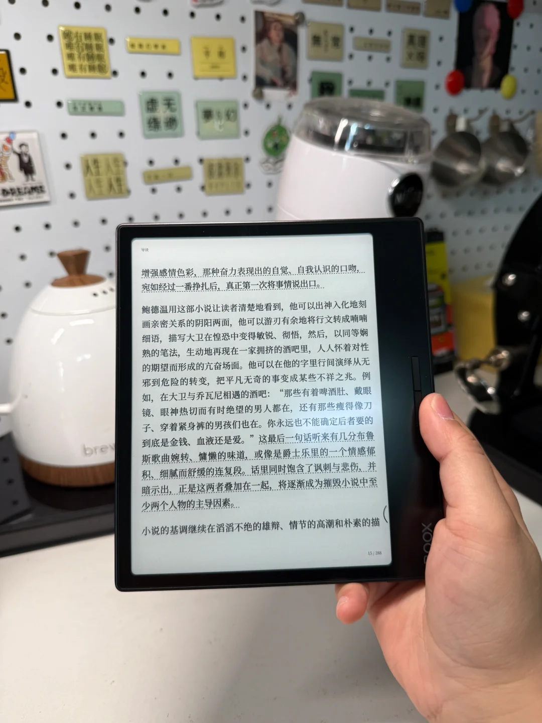 因为电纸书有国补又歹毒地消费了
