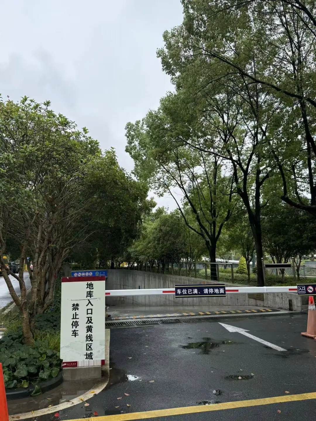 浦东图书馆|可外借|电子阅读器