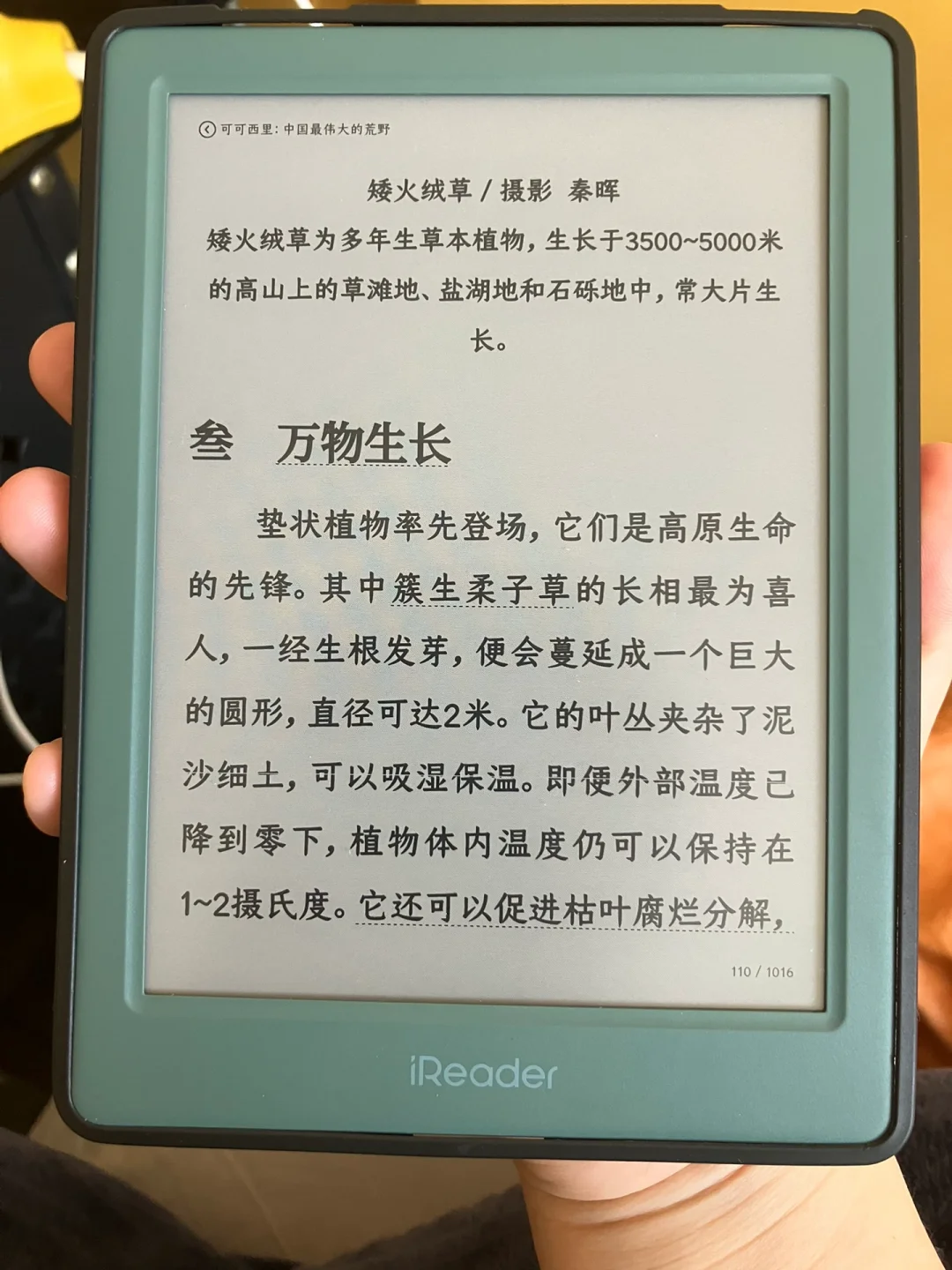 掌阅light4c评价一下
