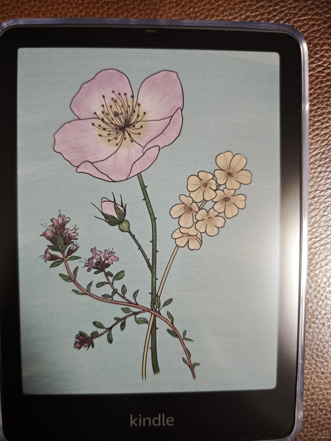 屏保还怪好看哩