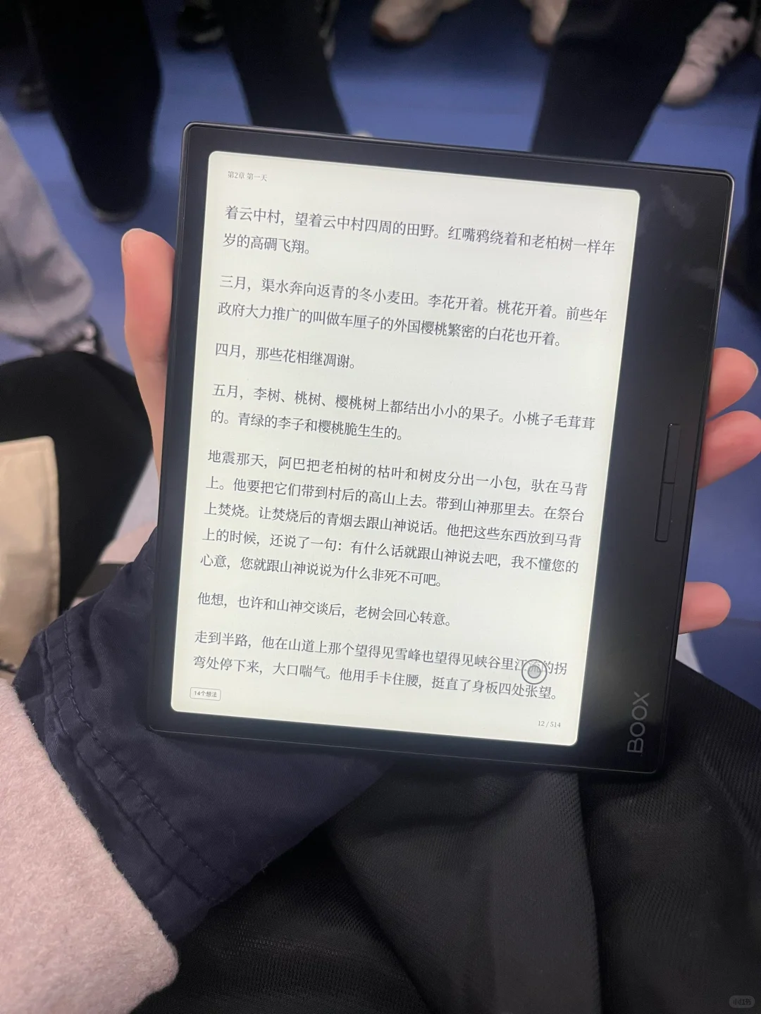 午休溜达到江边看书
