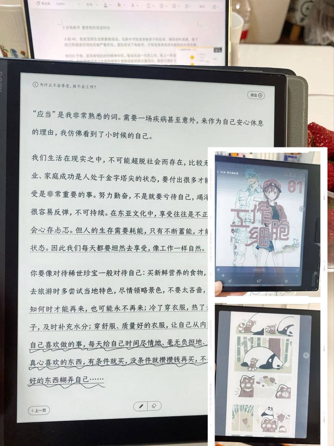 2台电纸书 重塑我的阅读时光