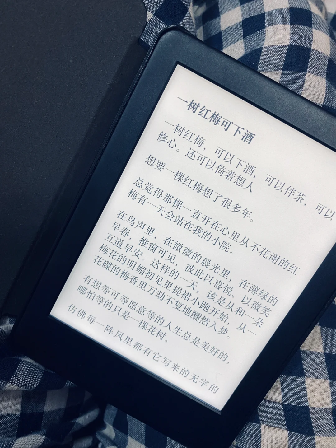 Kindle 被征服了