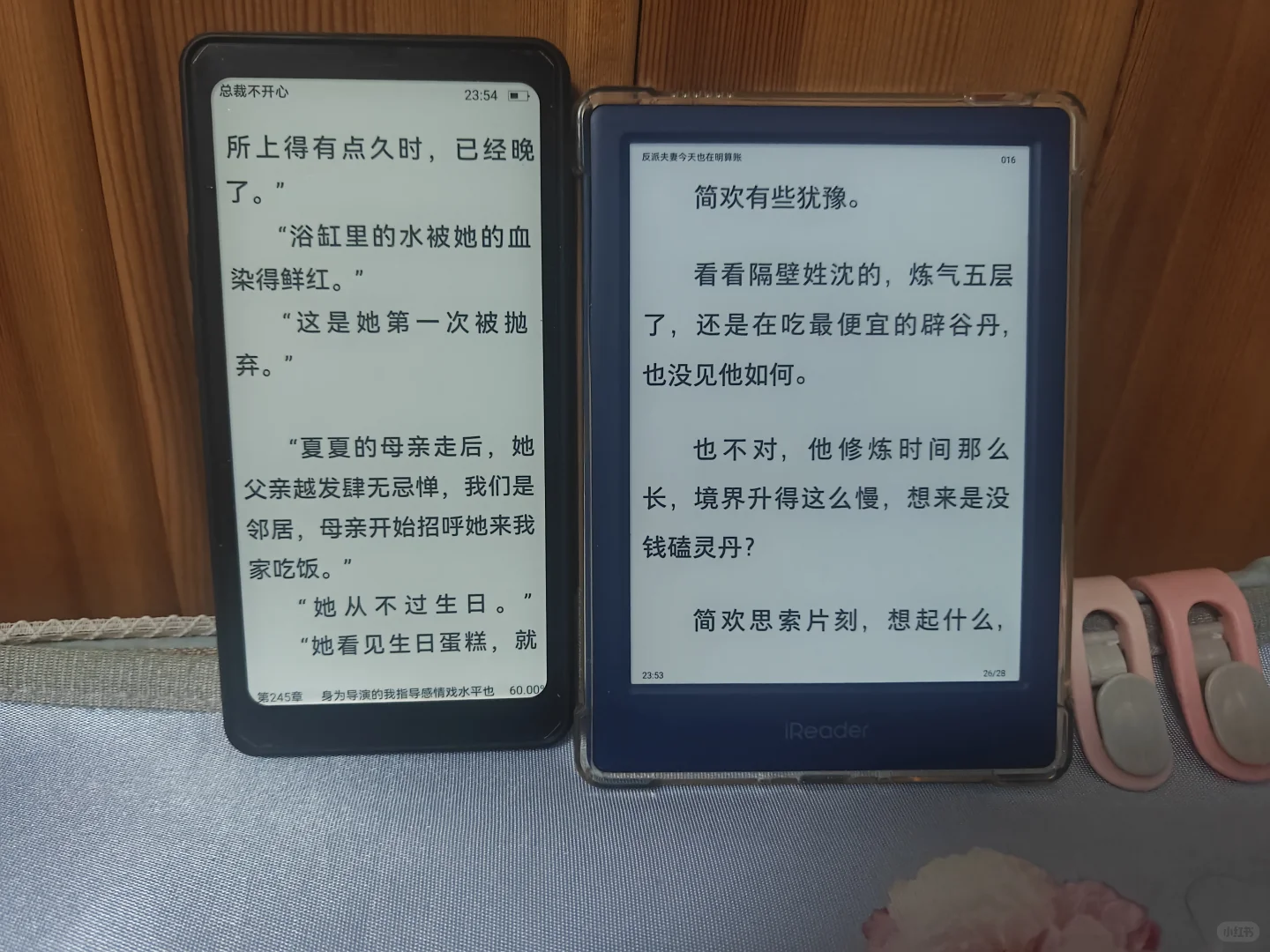 掌阅新形态墨水屏