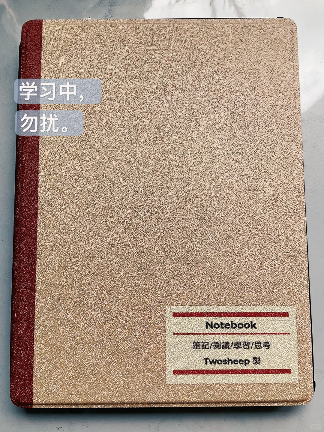 iReader light4 ～380入手