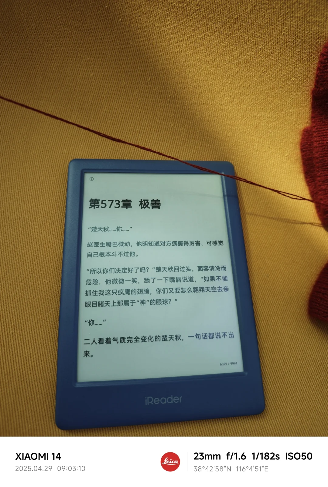 十日终焉看疯了