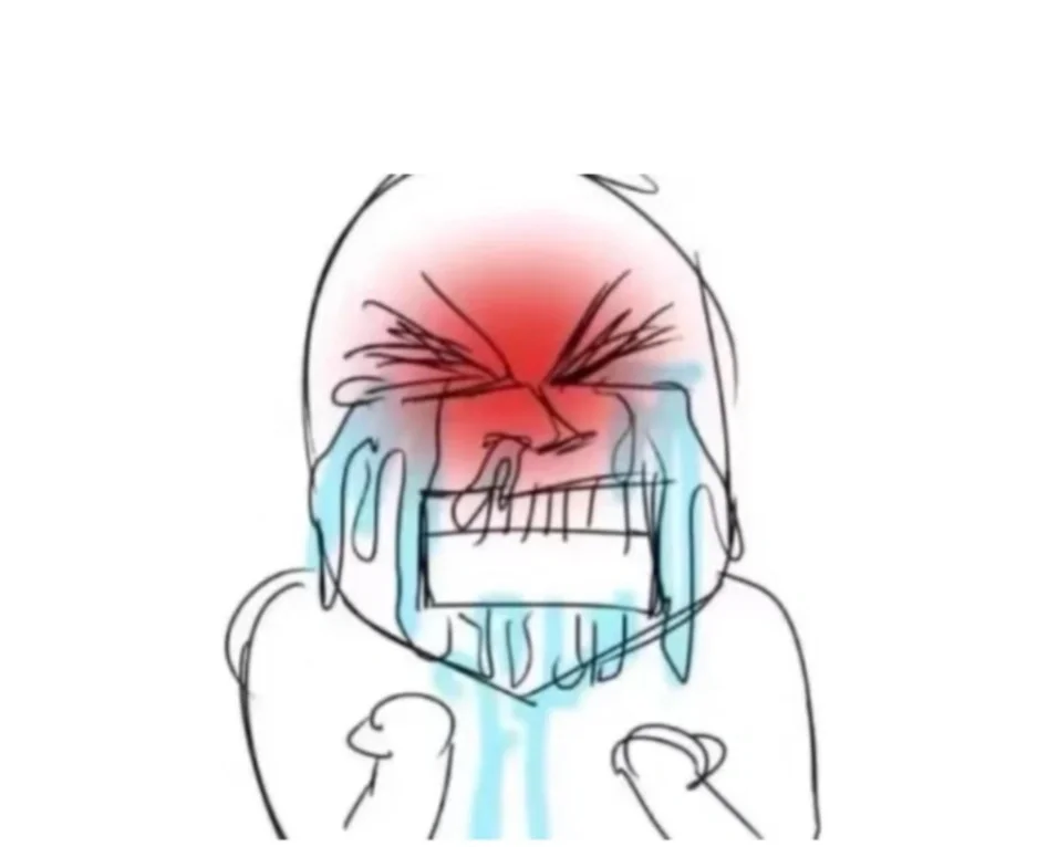 想入个电纸书有推荐吗