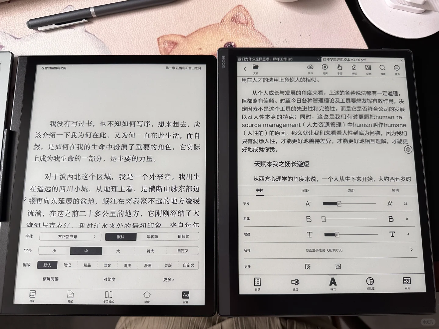 10.3寸国产电纸书