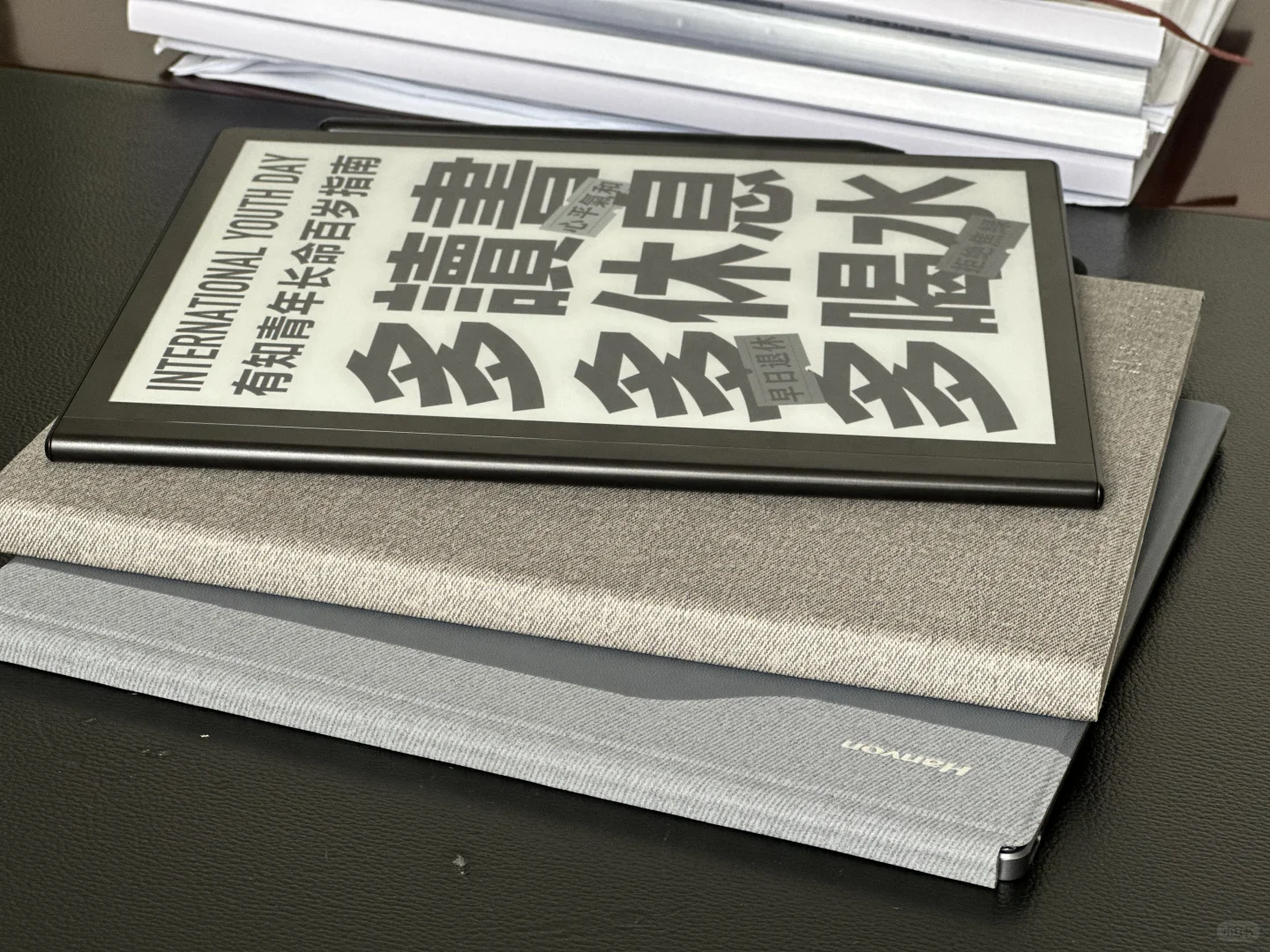 10.3寸国产电纸书