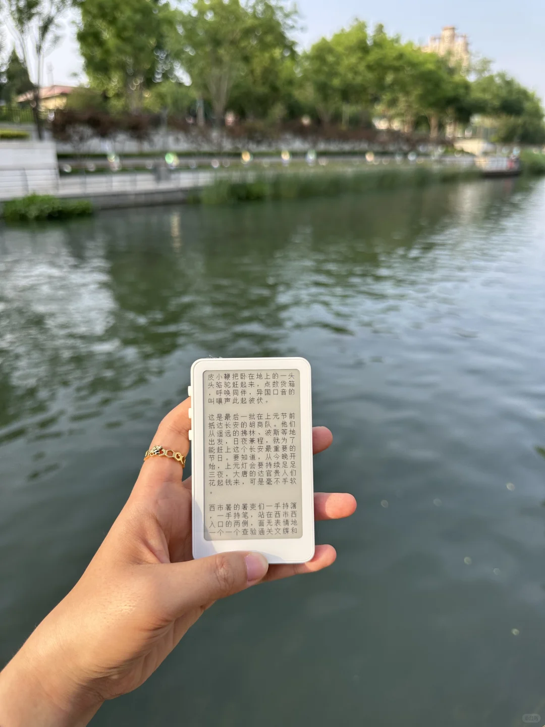 真香了！💰1XX的小鼻嘎