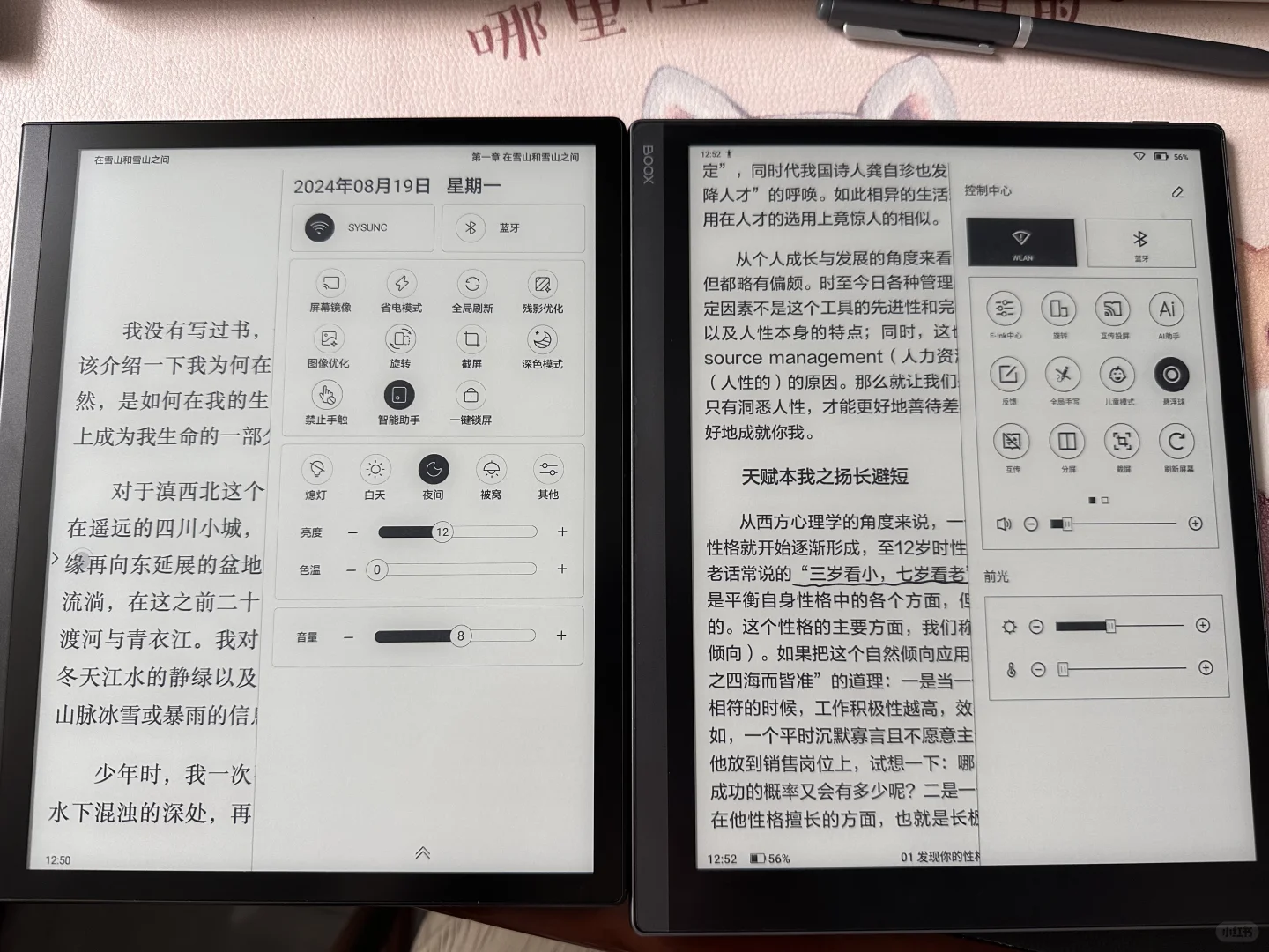 10.3寸国产电纸书