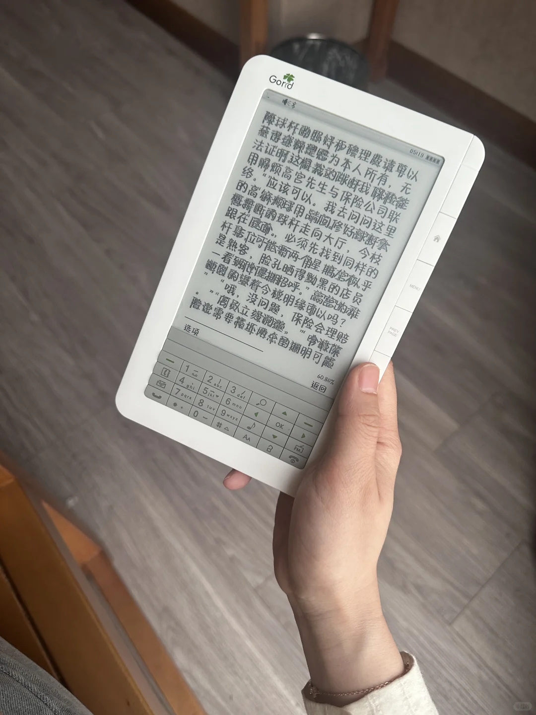 血气方刚的毕升 T600