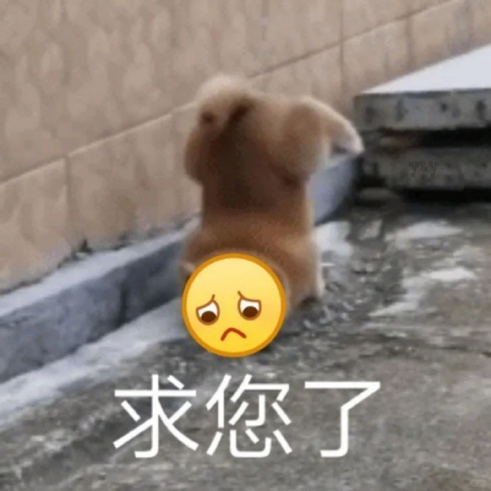 阅读器求推荐～