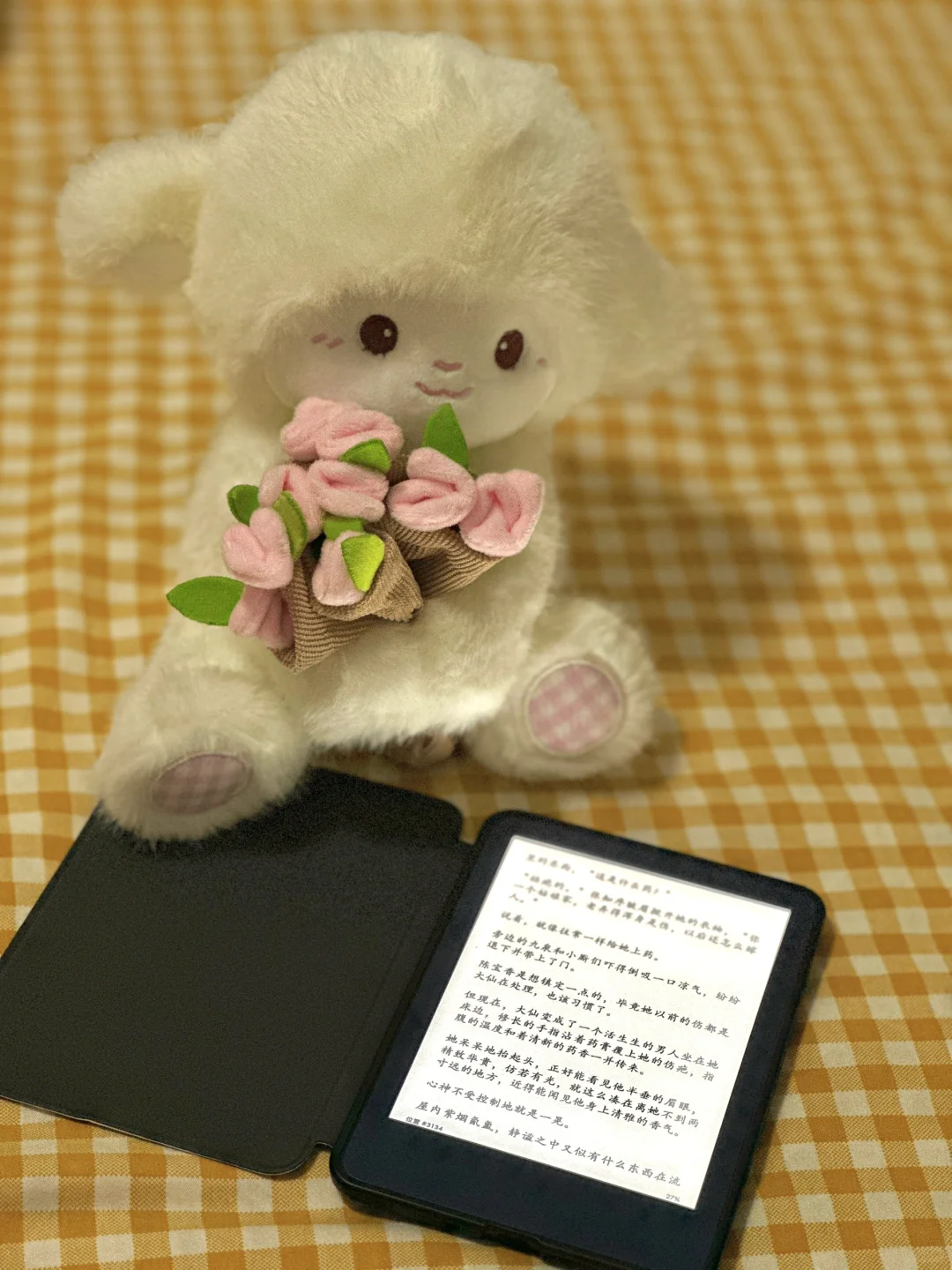 因为一本小说重新捡起了kindle