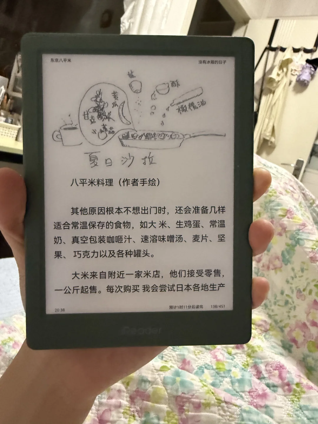 买了阅读器后平静的日常
