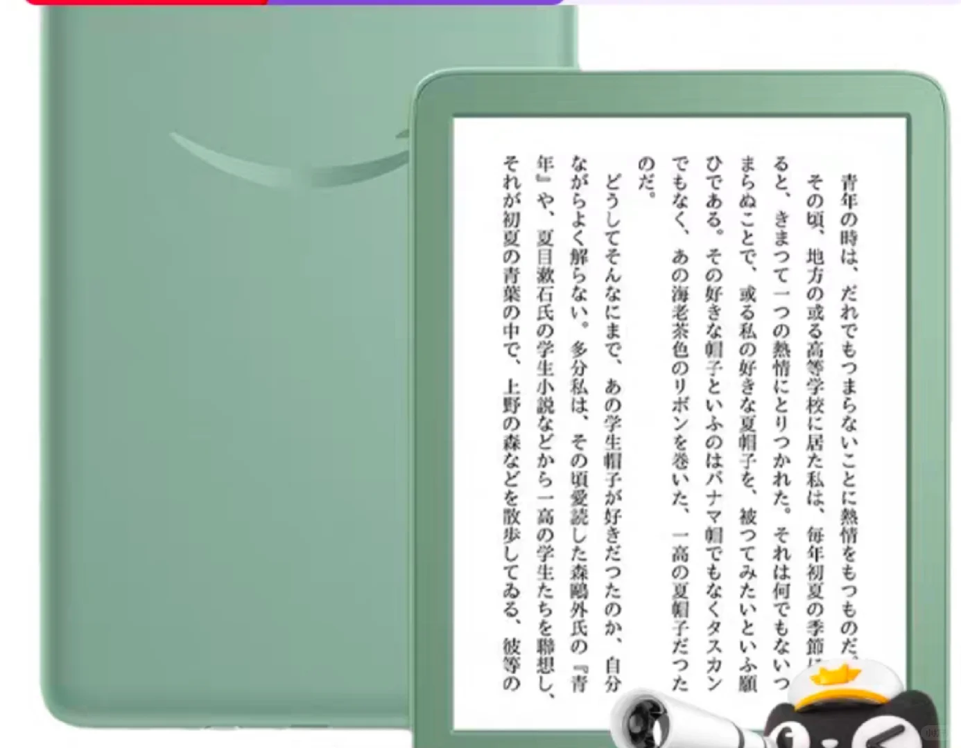 阅读器二选一（kindle 2024vs掌阅neo2）