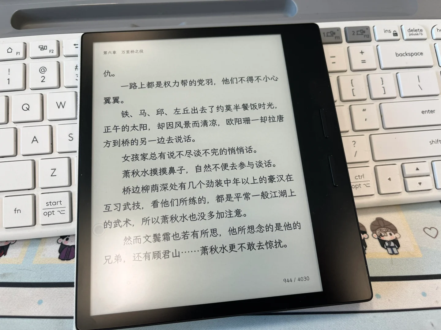 我的午间搭子~