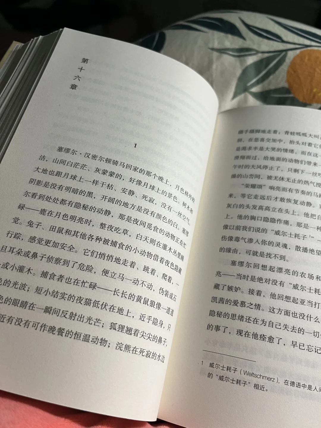 独处，阅读，极致享受
