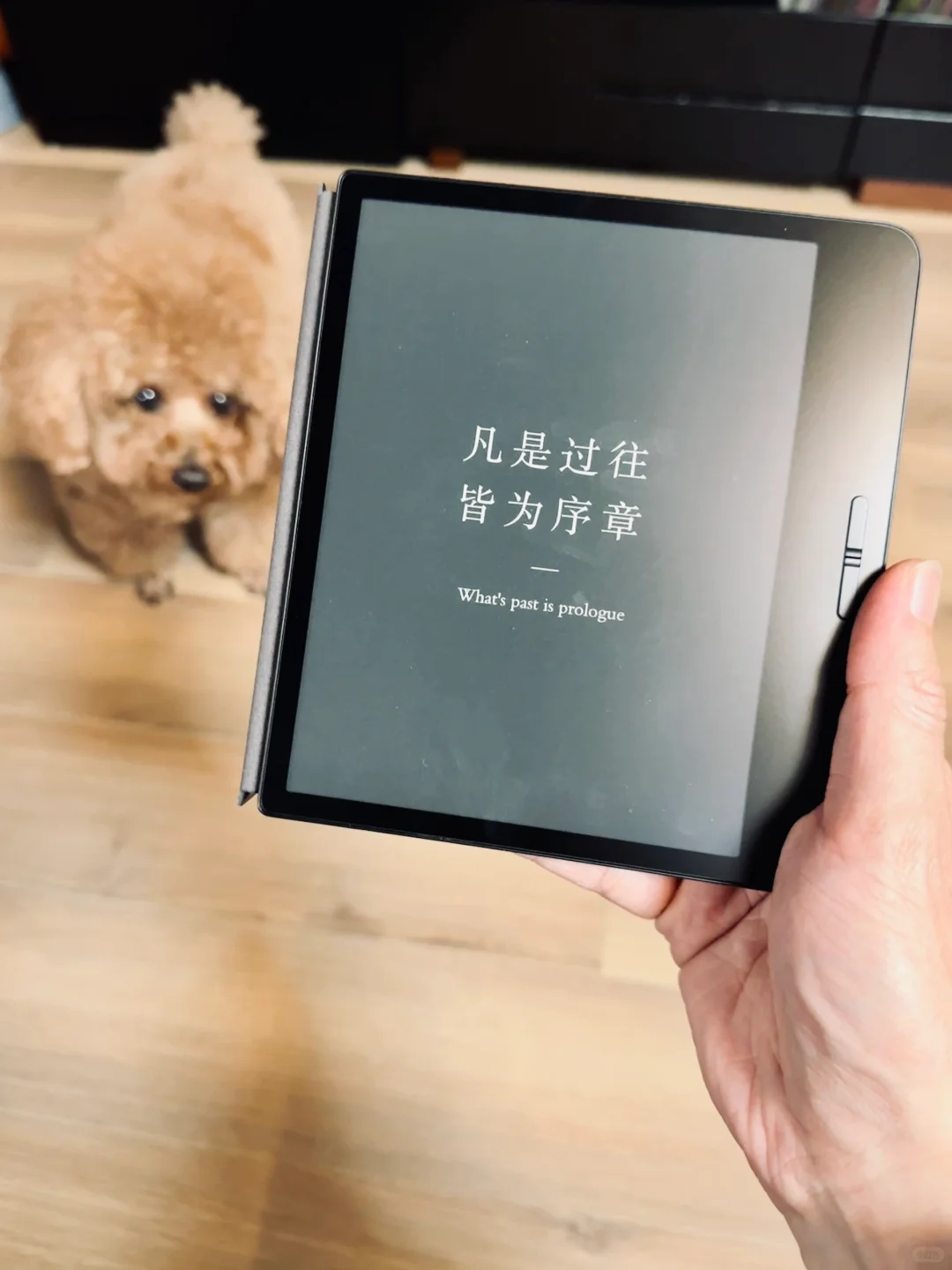 小米电纸书到了