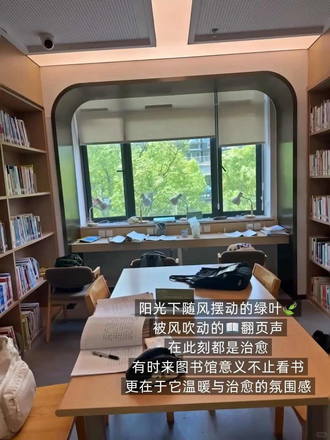 躲进图书馆的下午📚 | 治好了我的焦虑✨