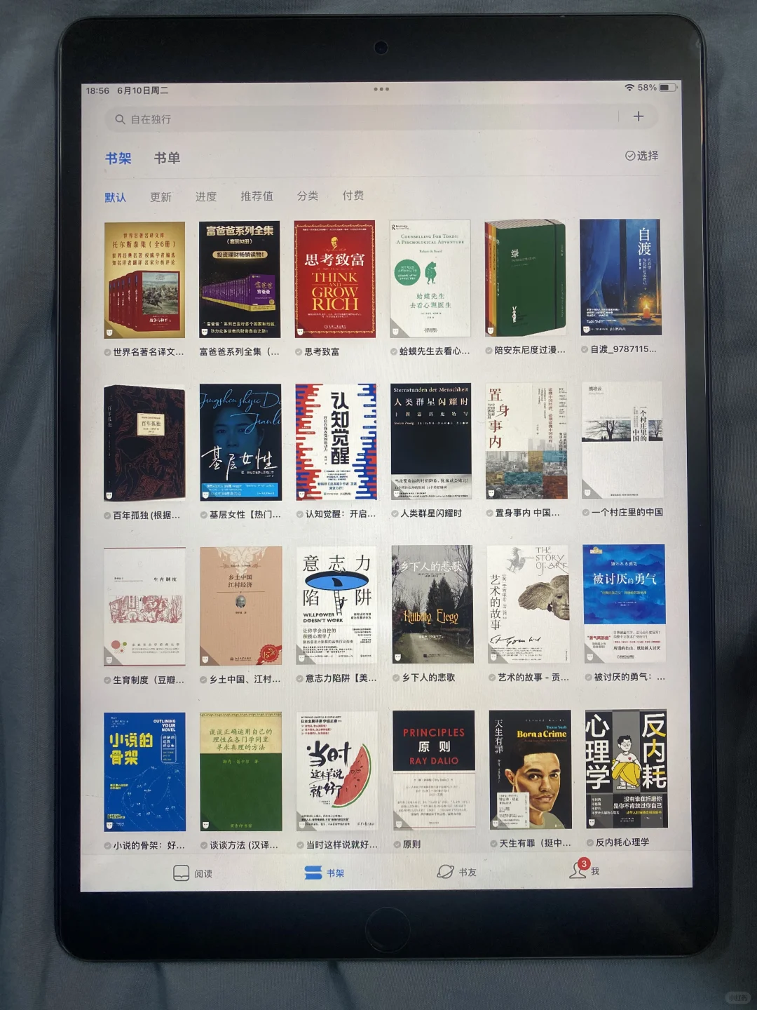 iPad变移动图书馆📚看书自由！
