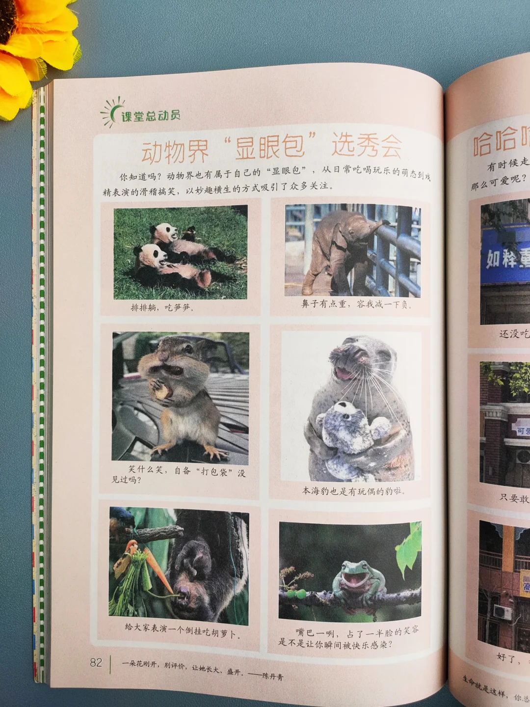 巨好看😍四年级看了不下50遍❗读书全靠它