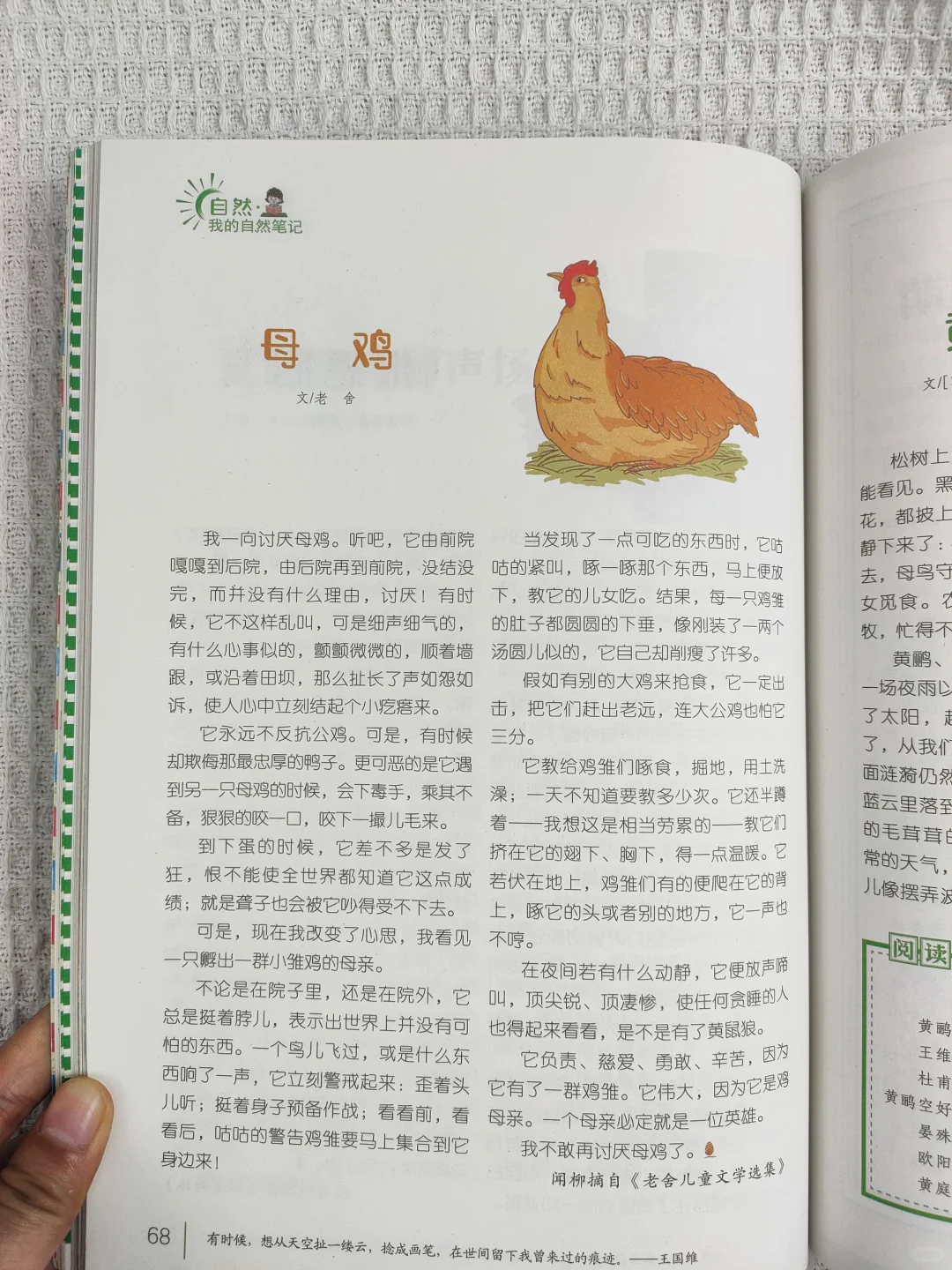 课外阅读读什么？当然就读《意林晨读》啦！
