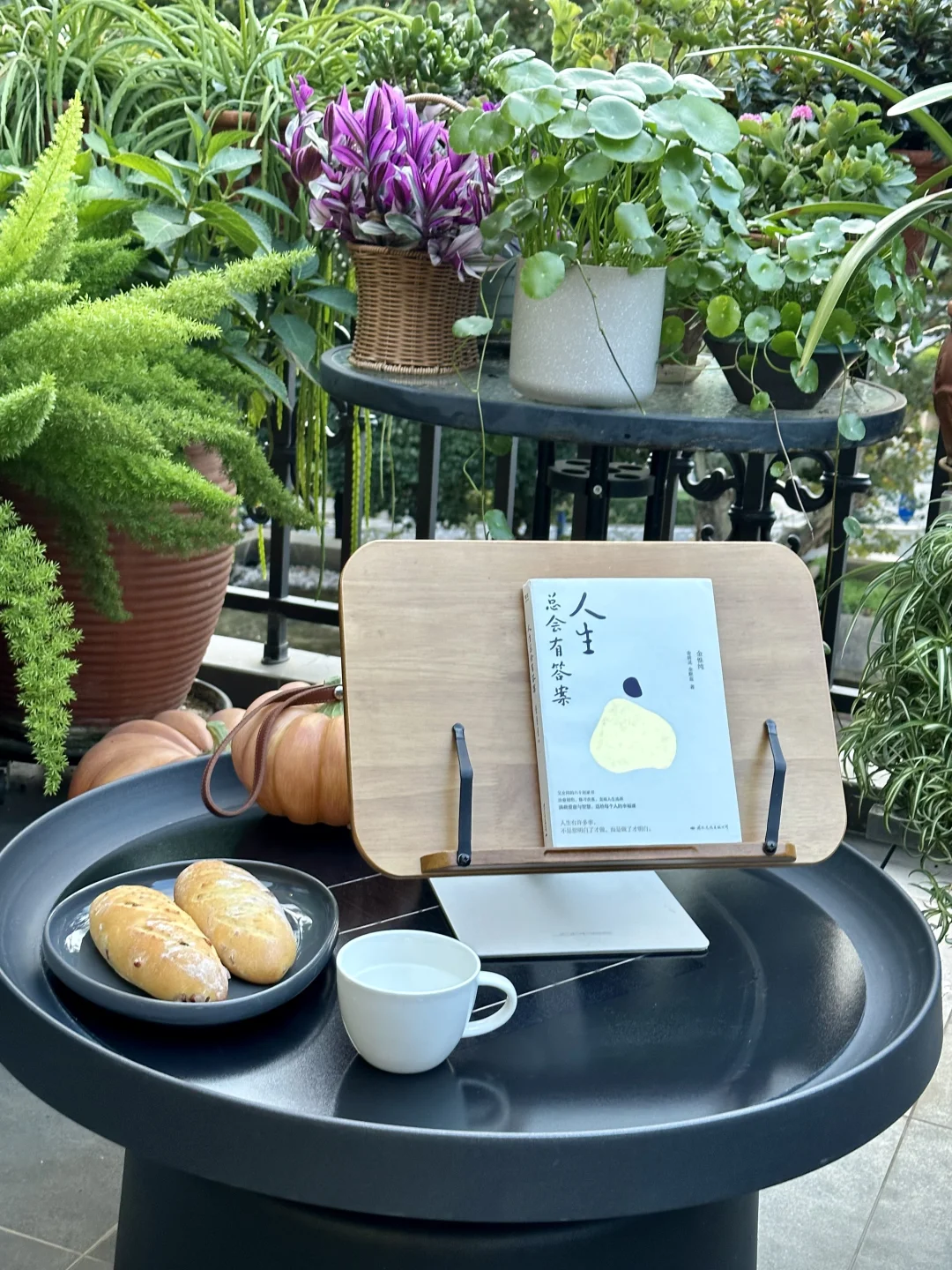 昆明读书会📚、一起读书、一起喝茶、一起养花🌸