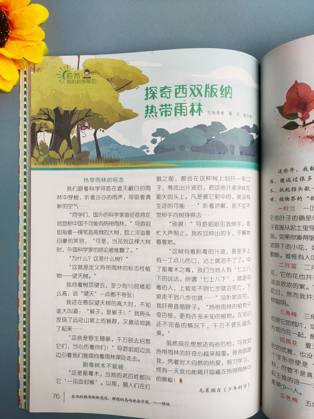 巨好看😍四年级看了不下50遍❗读书全靠它