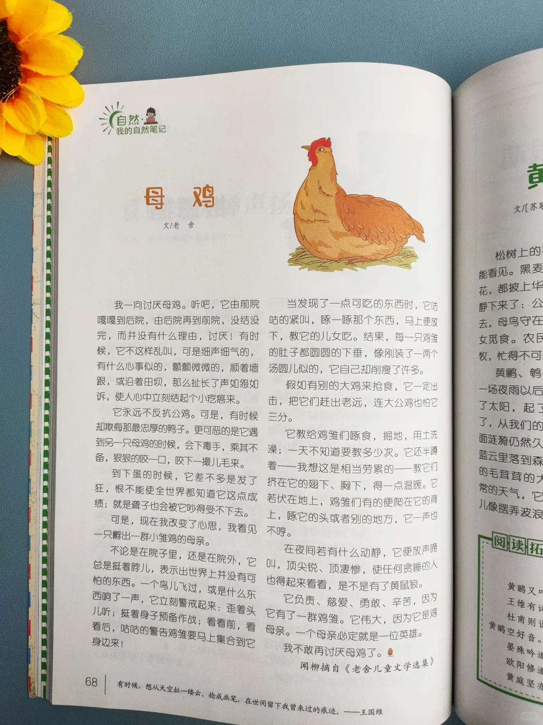 巨好看😍四年级看了不下50遍❗读书全靠它