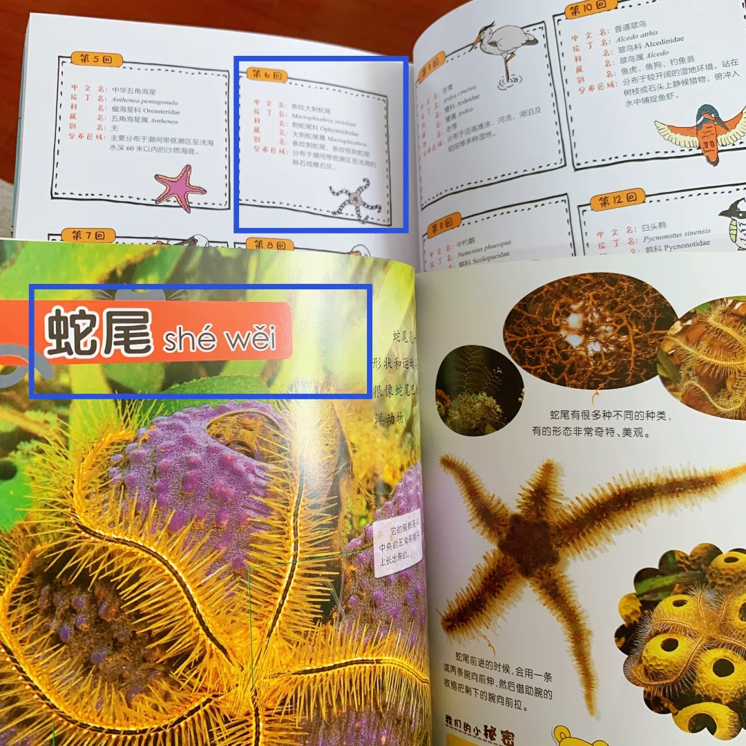 📖阅读的乐趣～