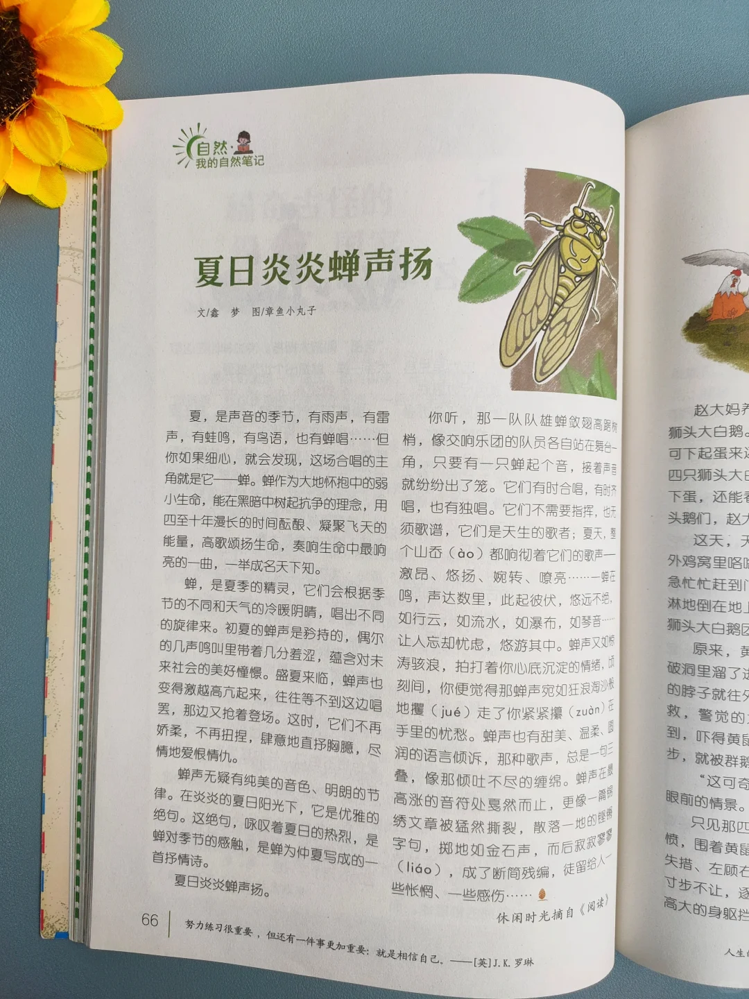 巨好看😍四年级看了不下50遍❗读书全靠它