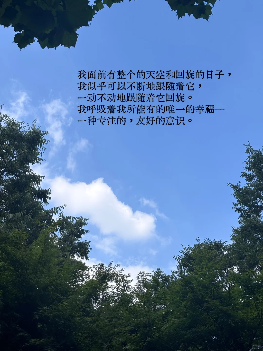 我觉得我的睡眠的每一小时都是偷来的…