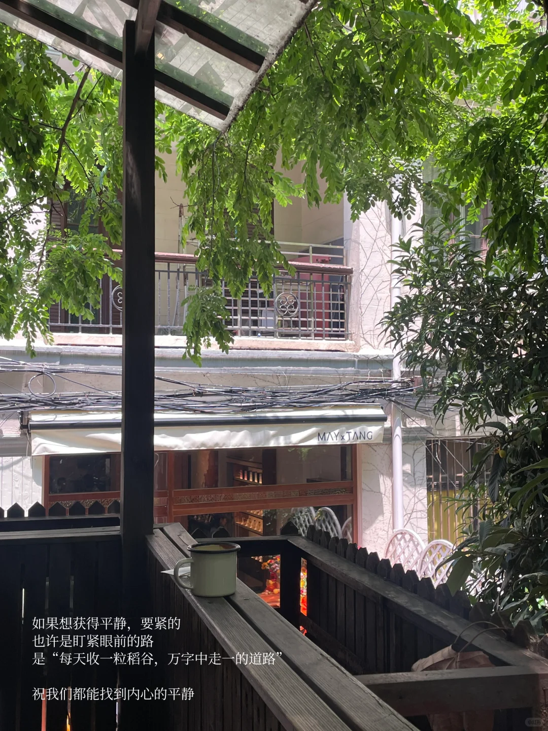 她的周末，独处、读书、晒太阳，平静也自由。