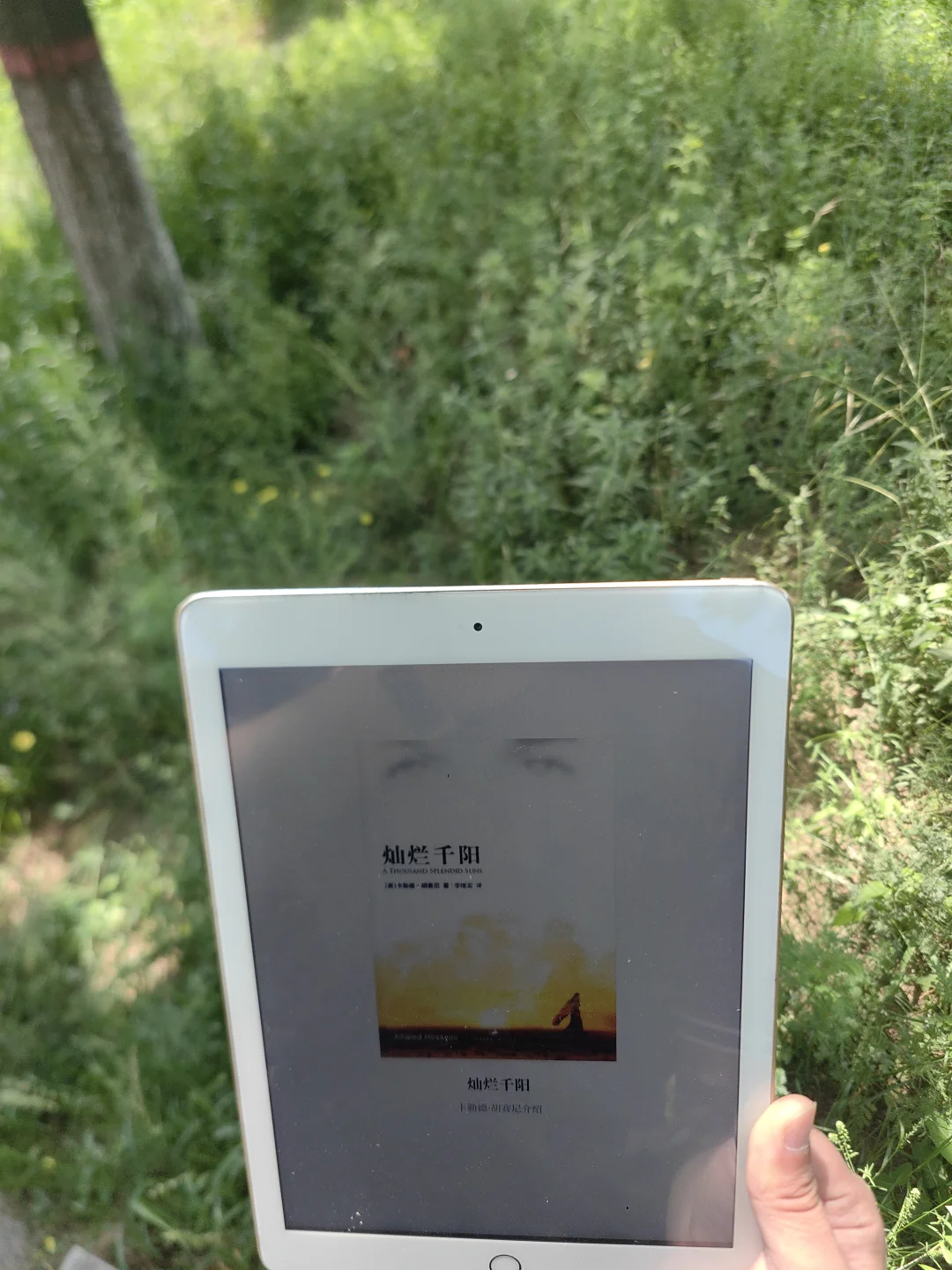 感谢小红书让我实现读书自由啦啊啊啊！