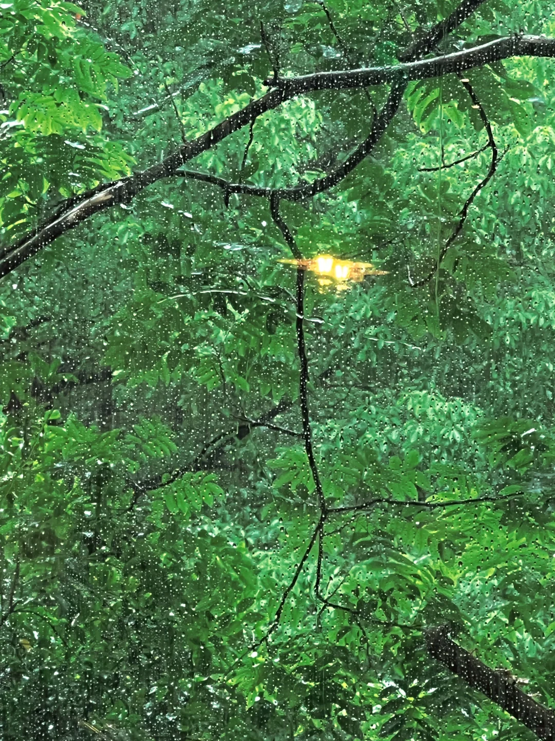 她的周末｜独处，读书，听雨，平静且自由🪐