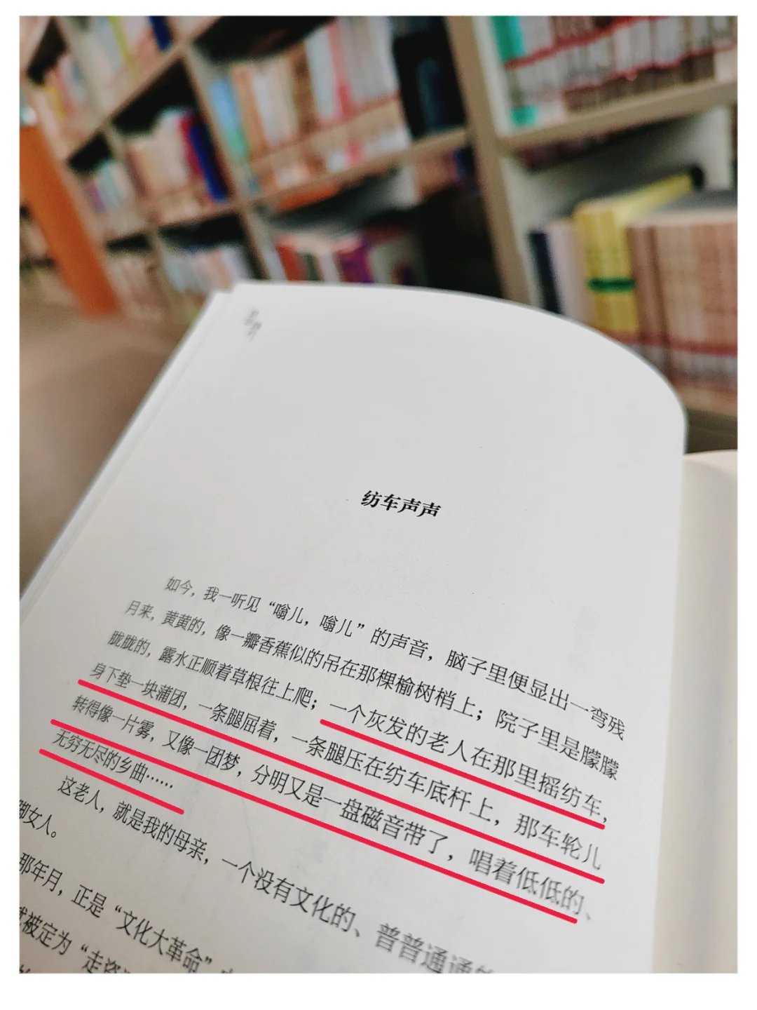 沉浸式阅读•自在独行•贾平凹著