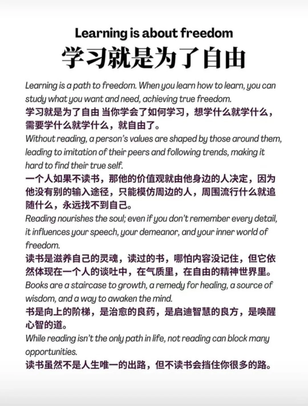 📚✨学习就是为了自由✨📚
