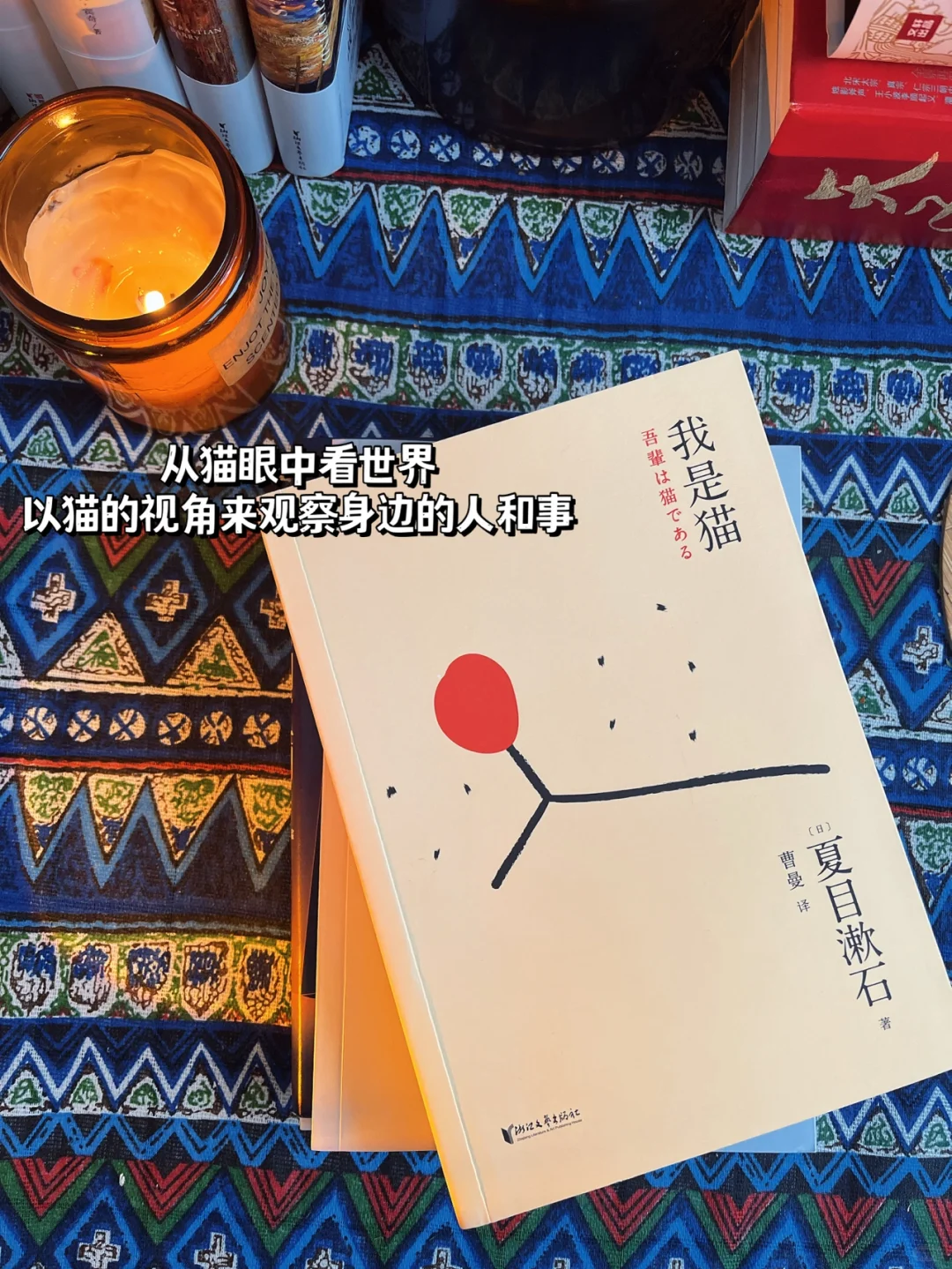 读书博主坦白局 | 如何实现纸质书自由💫