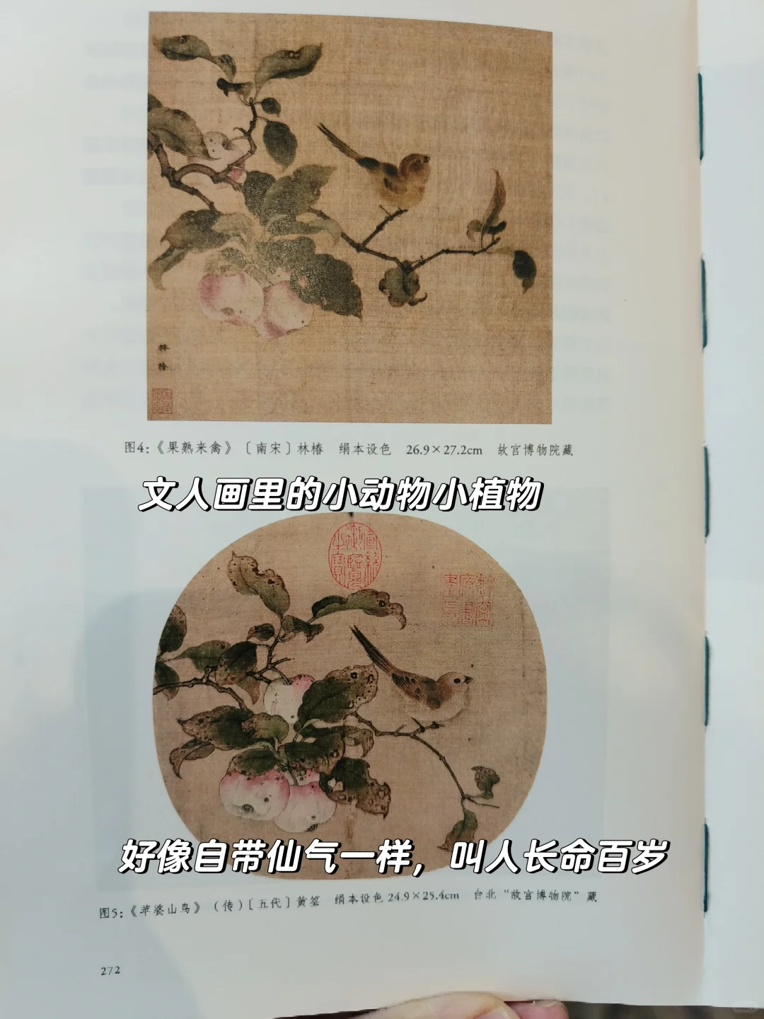 毕业后才拥有的 2 种自由