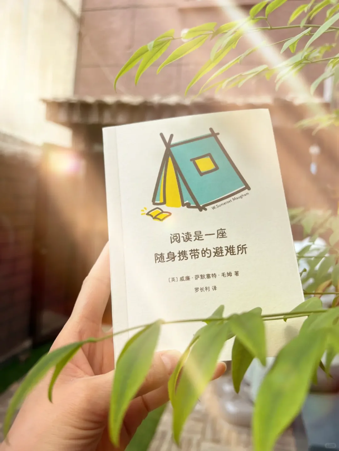 阅读的力量与魅力