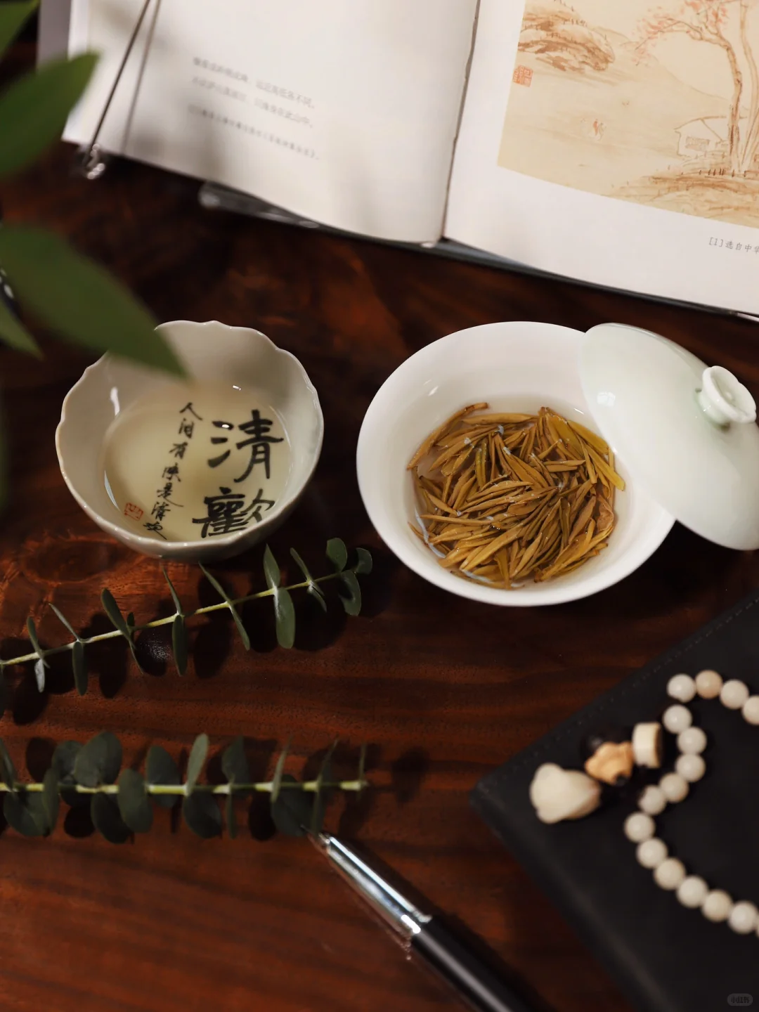 读书｜喝茶｜独处我更自由了🍃